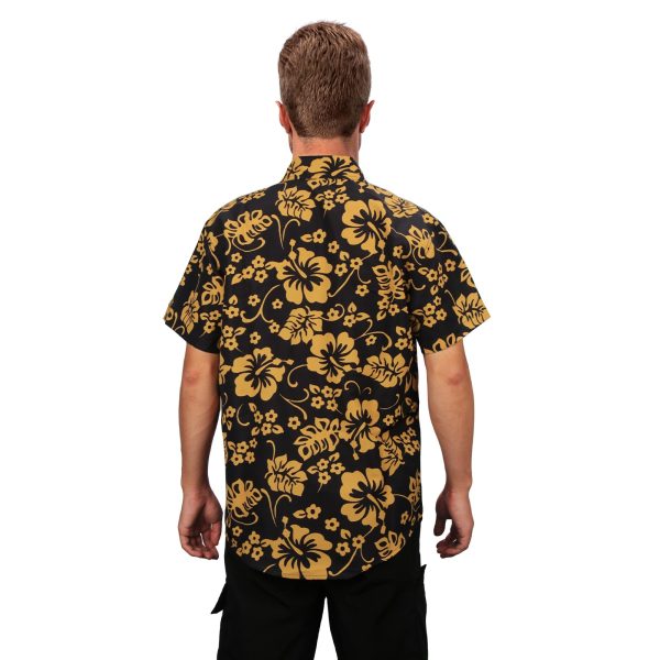 import placeholder for 255